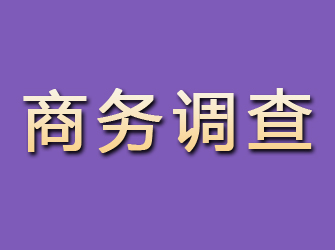 长春商务调查